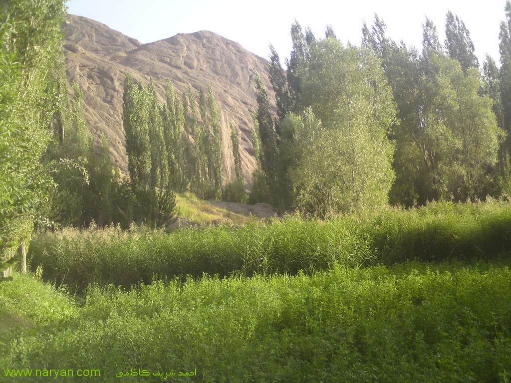 AhmadSharifKazemi1393 (24).jpg